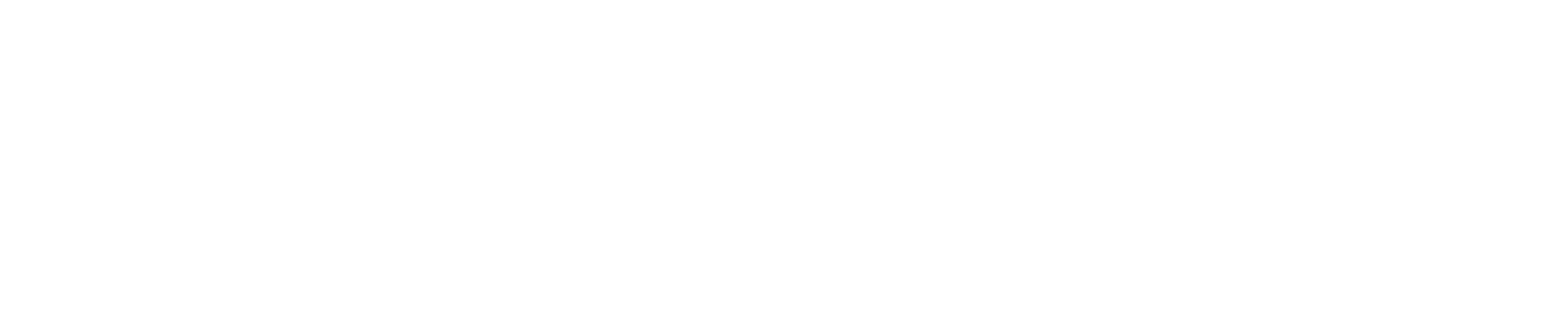 anflow logo white
